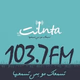 INTA FM 103.7 Logo