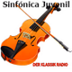 Der Klassik Radio logo