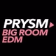 Prysm Radio - EDM Big Room Logo