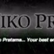 Bali Niko Pratama Logo