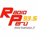 Radio P 93.5 Logo