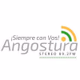 Angostura Estéreo Logo