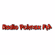 Radio Polmax FM Logo