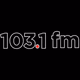 Estéreo Pop 103.1 - XHAGS Logo