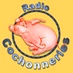 Radio-Cochonneries Logo