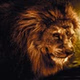 Solace Radio logo