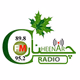 چنار راډيو Logo
