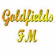 Goldfields FM 99.1 FM Logo