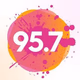 Fidelity 95.7 FM - WZAR Logo