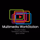 Multimedia WorkStation Logo