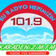 Karadenizim Fm 101.9 Logo