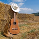 Great Country Radio Logo