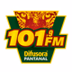 Difusora Pantanal 101.9 FM Logo