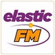 Elastic FM logo