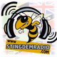 Stingdem Radio Logo