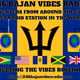 246 Bajan Vibes Radio Logo