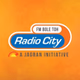 Radio City 91.1 FM  Kota logo