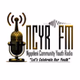 NGQELENI YOUTH COMMUNITY RADIO logo