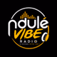 Ndulé vibe logo