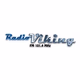 Radio Viking Logo