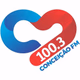 Conceição 100.3 FM Logo