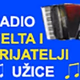 Radio Delta 31 Logo