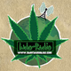 IndoRadio Logo
