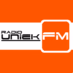 Radio-Uniek Logo